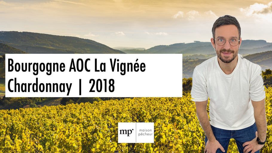 Bourgogne AOC La Vignée Chardonnay | 2018