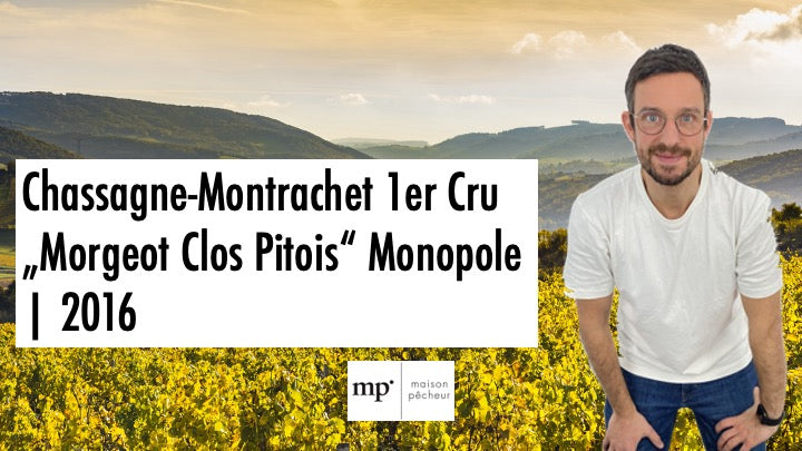 Chassagne-Montrachet 1er Cru "Morgeot Clos Pitois" Monopole | 2016